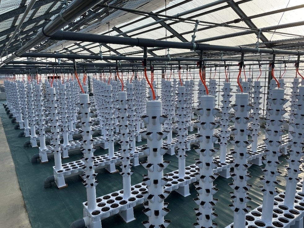 アクポニ、日本最大級の生産株数を誇る愛知県愛西市のアクアポニックス農園「つなぐファーム」の設計・資材調達・施工監修を担当のサブ画像4_縦型水耕システム