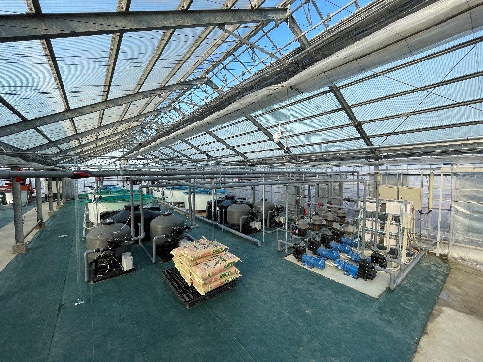 アクポニ、日本最大級の生産株数を誇る愛知県愛西市のアクアポニックス農園「つなぐファーム」の設計・資材調達・施工監修を担当のサブ画像5_施設内の様子