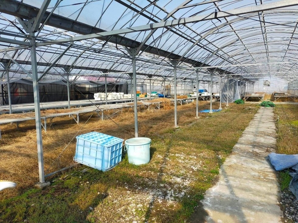 アクポニ、日本最大級の生産株数を誇る愛知県愛西市のアクアポニックス農園「つなぐファーム」の設計・資材調達・施工監修を担当のサブ画像7_改修前のハウスの様子