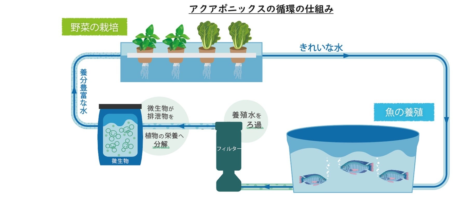 アクポニ、日本最大級の生産株数を誇る愛知県愛西市のアクアポニックス農園「つなぐファーム」の設計・資材調達・施工監修を担当のサブ画像9