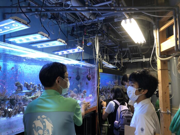 【サンシャイン水族館】豊島区内の教育機関と連携した環境学習プログラム実施中のメイン画像