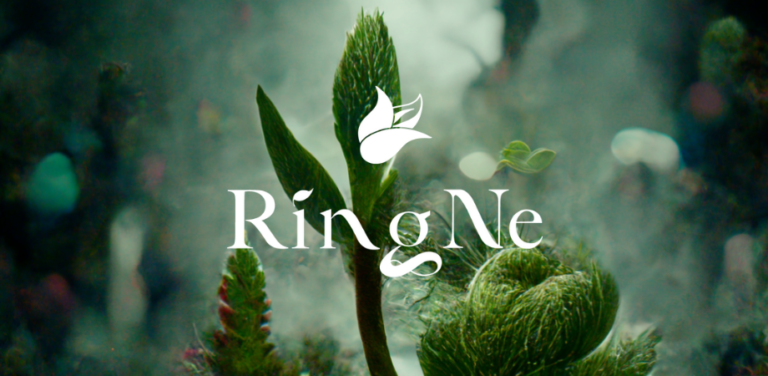 植物と音楽の新たな祝祭「RingNe Festival」南足柄市「夕陽の滝」で開催決定のメイン画像