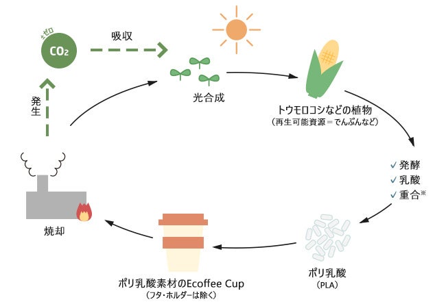 【Ecoffee Cup（エコーヒーカップ）】注目のエコ素材「ポリ乳酸（PLA）」に素材を変更し、より地球に優しくなって登場！のサブ画像2_　　　　　　　　　　　ポリ乳酸(PLA)地球に優しい循環サイクル
