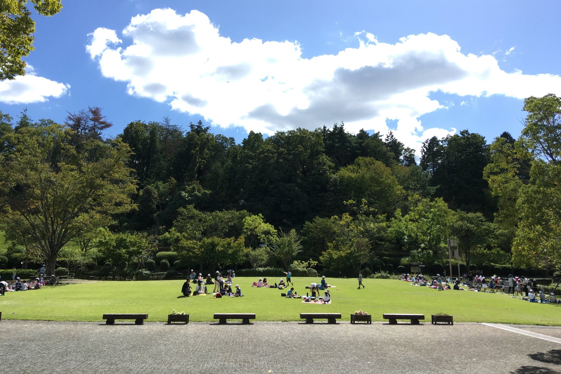 【参加無料】滋賀県内の6公園で“植物”をテーマにした「しがの公園で遊ぼう！学ぼう！スタンプラリー」を2023年4月1日より開催（西武造園株式会社）のサブ画像8