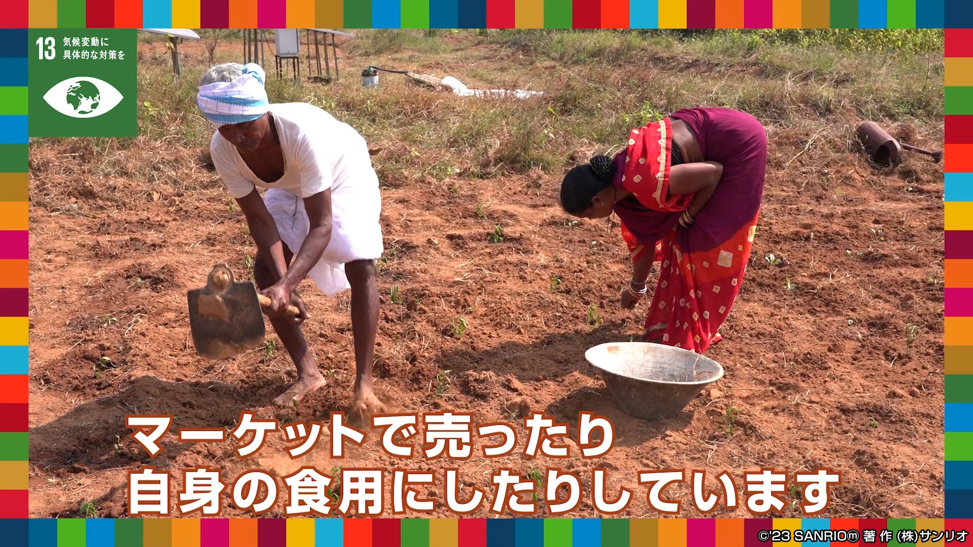 国連との協働企画動画第5弾　UNDP協働動画『【SDGsゴール13】「気候変動に具体的な対策を」をキティと学ぼう』前後編を3月29日(水)公開のサブ画像4_土地を開墾し、今ではたくさんの農作物が実る土地に。