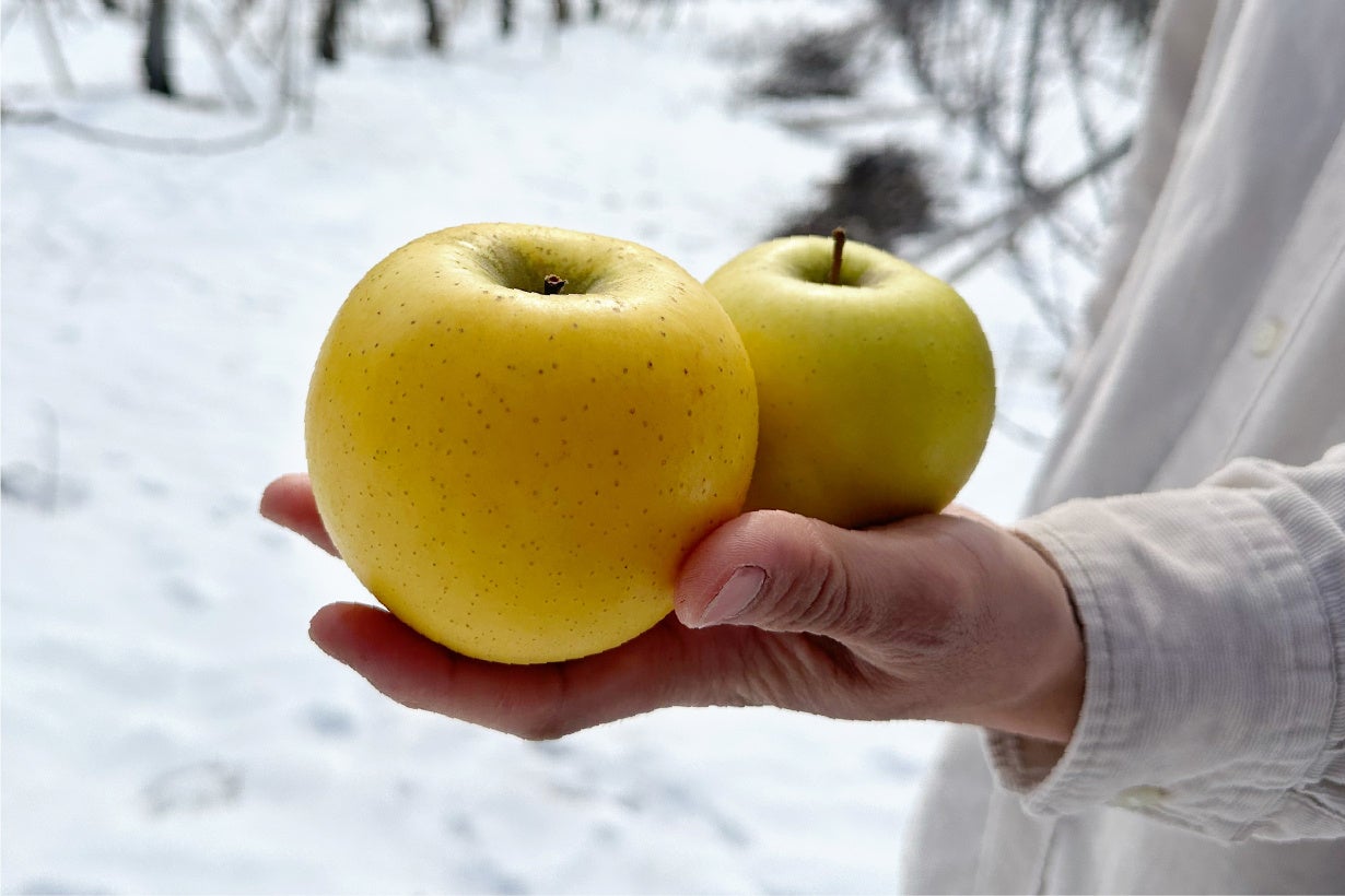 発酵の力で未利用資源を価値あるものに変える。ファーメンステーションが「リンゴだったサニタイザー」をクラウドファンディングで先行販売。のサブ画像7