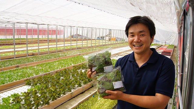 大阪 泉州から、都市型農業とスタートアップ企業2社による「都市型の有機農業DX」コンソーシアムを設立のサブ画像2