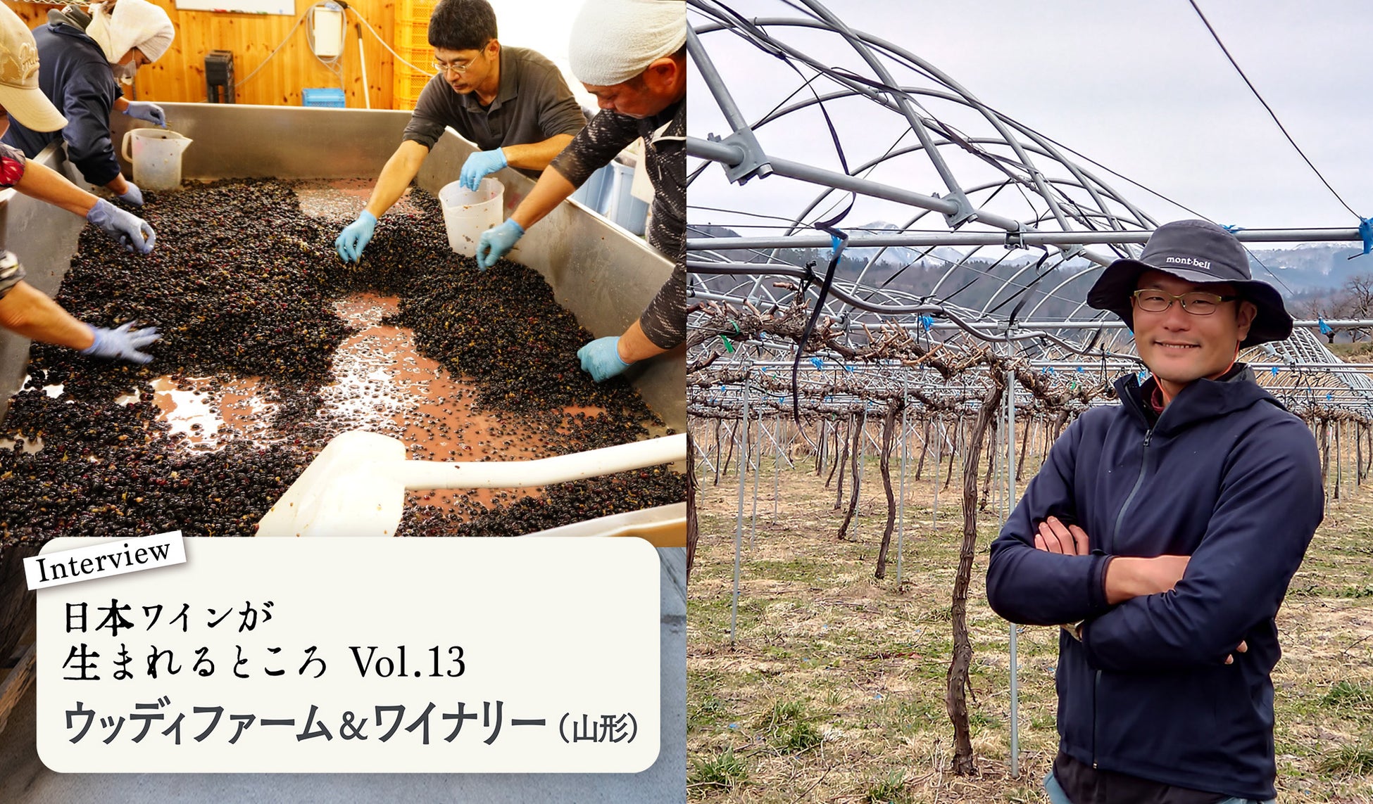 wa-syu 別注ラベルデザインの人気銘柄！ 新ヴィンテージ2022で楽しむ、北海道「ドメーヌレゾン」のオレンジワインのサブ画像16