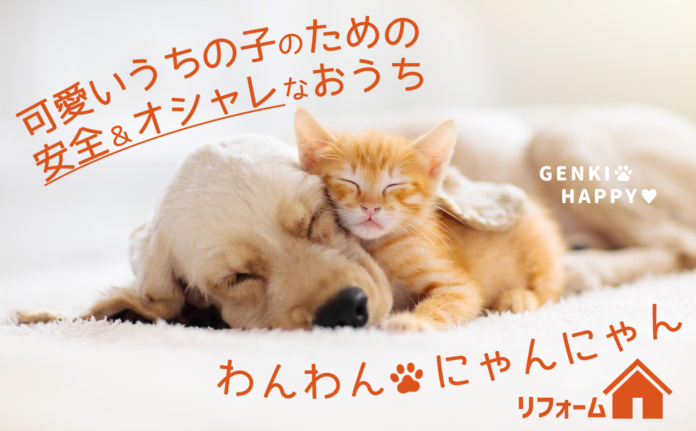 【千葉県柏市 おうちSDGsプロジェクト 第4弾】集まれ愛犬＆愛猫家！可愛いうちの子の健康と長生きを願うオシャレなおうち「わんわんにゃんにゃんリフォーム」のメイン画像