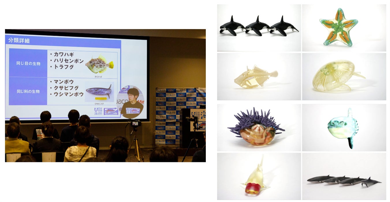海洋研究3Dスーパーサイエンスプロジェクト　二期生の研究発表会を開催のサブ画像2_※一期生の研究発表の様子（左） 　一期生が作成した3Dモデル出力品（右）