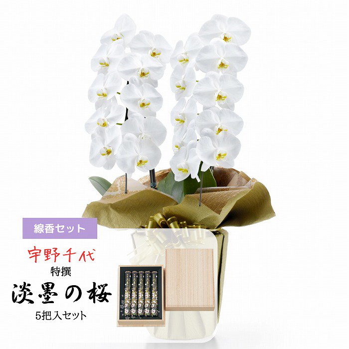 お供え花と宇野千代のお線香セットコラボのメイン画像