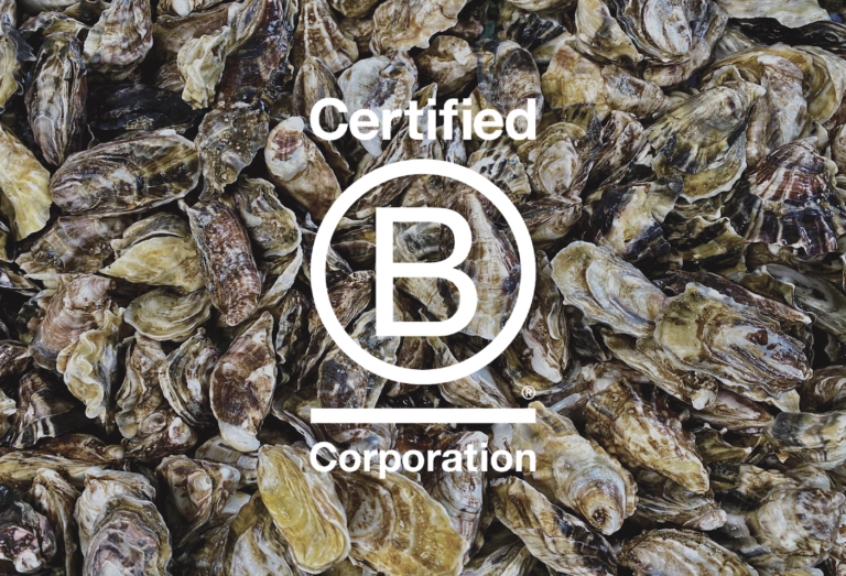 株式会社UMITO Partners、海と漁業のサステナブルを推進する企業として「B Corp認証」を取得のメイン画像