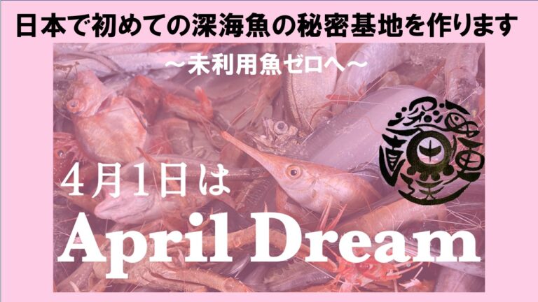 日本で初めての『深海魚の秘密基地』を作りますのメイン画像