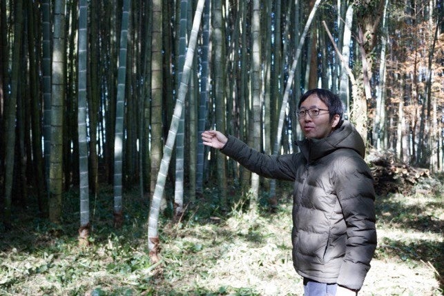 熊本県多良木町の放置竹林を国産メンマに。森を美しくする「多良木（たらぎ）メンマ」2種を発売のサブ画像8