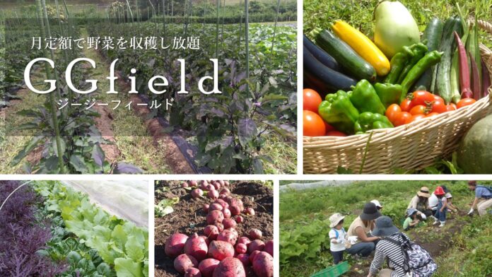 月定額で約150種類の野菜を収穫し放題！SDGsに貢献するサブスクリプションサービス「GGfield」4月28日オープンのメイン画像