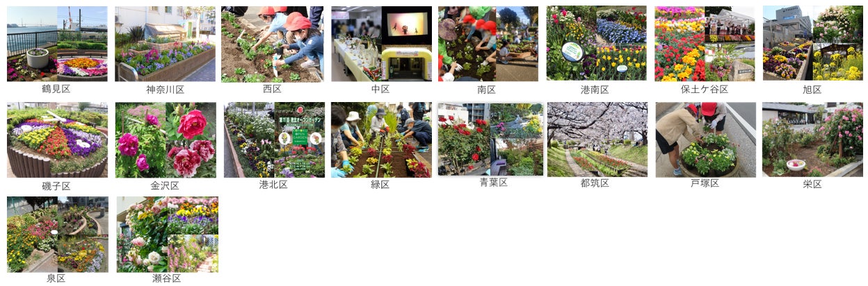 色鮮やかなチューリップに包まれる横浜にて「ガーデンネックレス横浜」連携イベント第45回「よこはま花と緑のスプリングフェア」2023が4月7日（金）から開催のサブ画像4