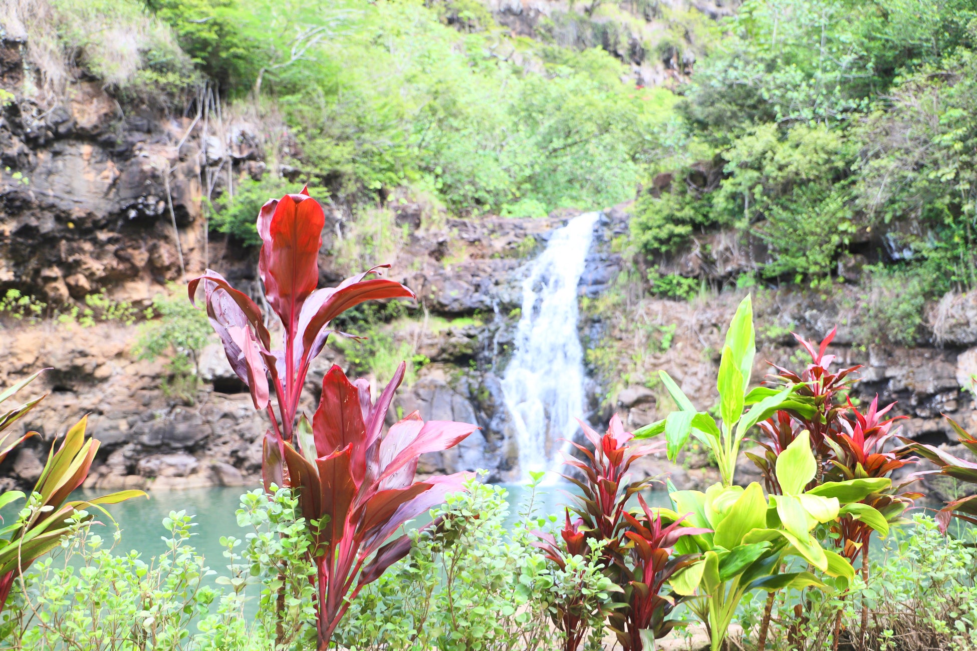 アンドユークリエーションズ ハワイの大自然体験「ネイチャー＆ユー」の第二弾「ワイメアの滝ハイキングツアー」を発表のサブ画像1