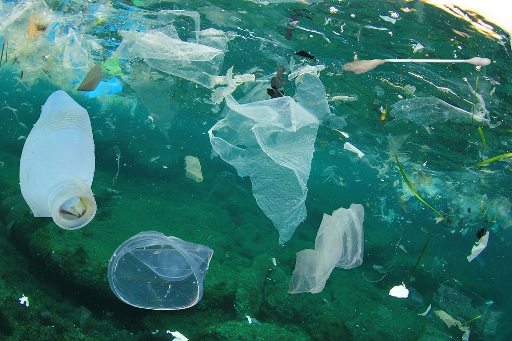 20年以上前からプラスチック削減に取り組む株式会社イー・エス・エスが、水と海を守るための環境フリーペーパー『つづく』を創刊。配布パートナーを募集中です。のサブ画像2