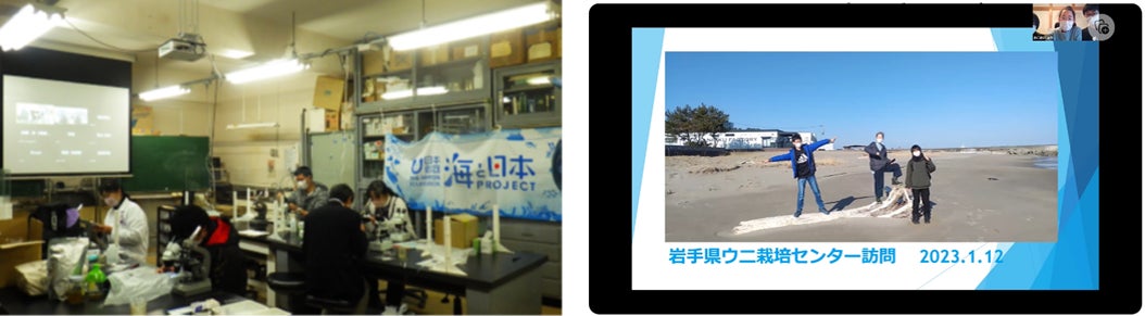 バフンウニを自分の手で発生させて海を学ぶイベント　海と日本PROJECT 全国一斉ウニの発生体験2022年度冬を開催しましたのサブ画像3_（左）冬休みの教員研修会の様子（右）オンライン相談会での見学レポート