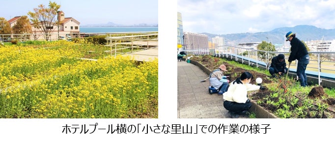 【琵琶湖ホテル】「令和4年度しが生物多様性取組認証制度」で最上級認証の「３つ星」を取得のサブ画像3