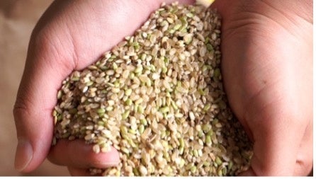 食べるだけでSDGｓ！廃棄米（規格外米）を使った≪箔米カレー≫が誕生！〜食べられなかったくず米に新たな価値を！〜のサブ画像3