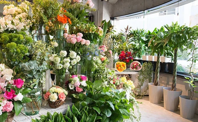 花を通じて社会をHUG(ハグ)する体験型の花農園『ローランズファーム』横須賀市にオープンのサブ画像5