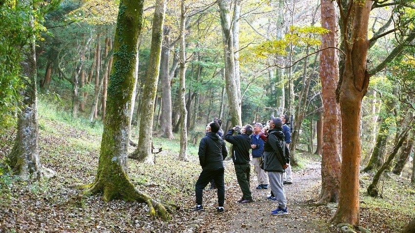 ひとり占めする箱根九頭龍の森ネイチャーツアー体験のサブ画像3