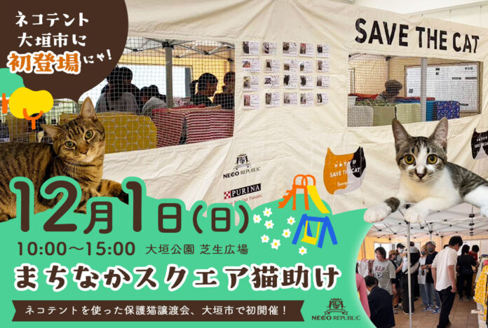 大垣公園が、ネコ、ネコ、ネコまみれ！？岐阜県大垣市の大垣公園芝生広場にて「まちなかスクエア猫助け」イベント開催決定！のメイン画像