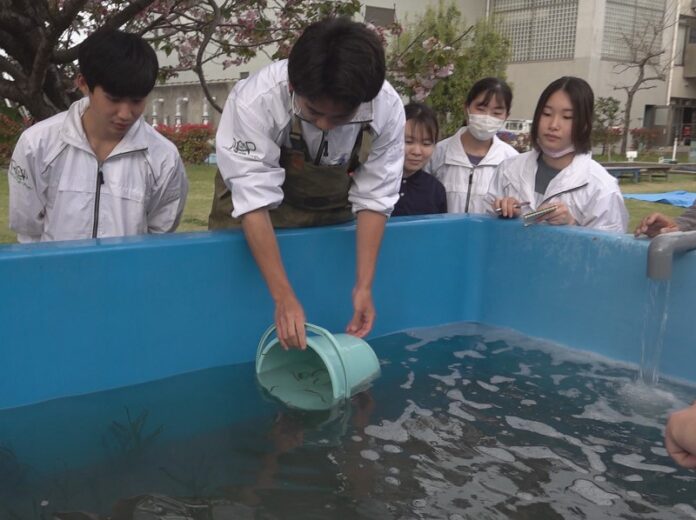 廃材を再利用し子どもたちの“学び”に！浜名湖体験施設ウォット中庭「水槽でアマモを増やす大実験」の説明看板が完成のメイン画像